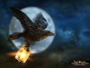 Raven_1600x1200.jpg