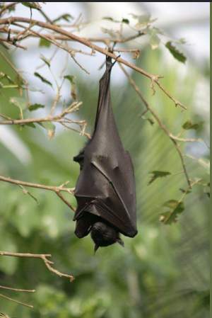 2024-06-01 20_28_15-Facebook.png