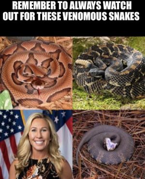 51fvu7ikxn4d1.jpeg