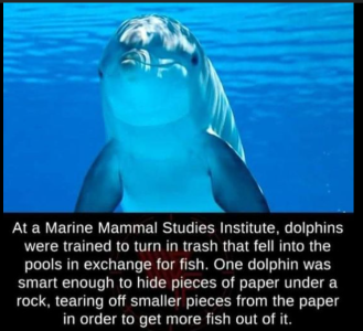 2024-06-10 15_25_25-Facebook.png