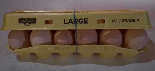 Egggs.jpg