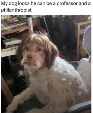 2024-06-13 06_31_43-Facebook.png