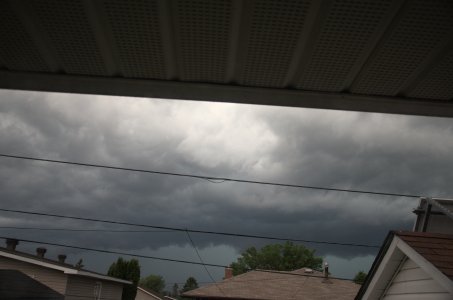 DSC_6824.jpg DSC_6824.jpg