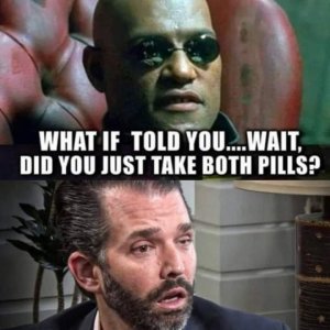 FB_IMG_1718313532279.jpg