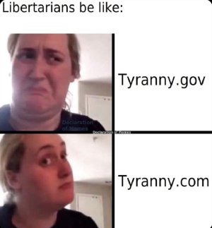 448383608_498673749181145_2303089159003285071_n.jpg