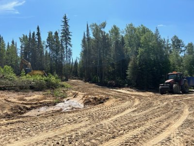 IMG_1029.jpg IMG_1029.jpg