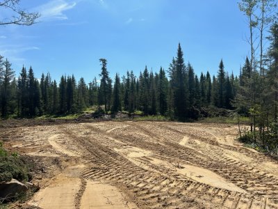 IMG_1025.jpg IMG_1025.jpg