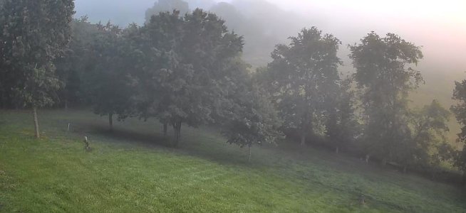 Foggy.JPG