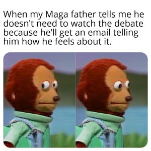 i4mzg892949d1.jpeg