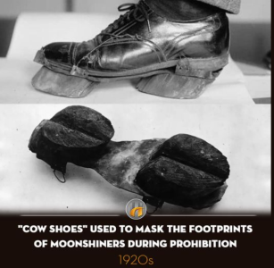 2024-06-29 10_17_01-Facebook.png