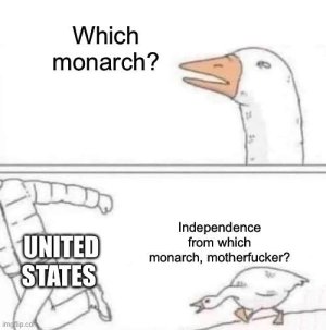 no87md2agiad1.jpeg