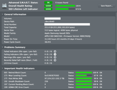 DriveDxReport_APPLE SSD SM0256G_2021-12-13_21-31-13-638 Noserial.png DriveDxReport_APPLE SSD SM0256G_2021-12-13_21-31-13-638 Noserial.png