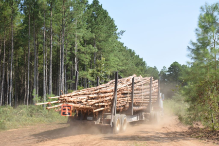 1720721936433.png 1720721936433.png