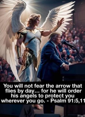 Trump-propaganda-WEB.jpg