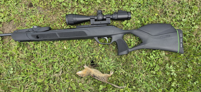 1722191893993.png 1722191893993.png