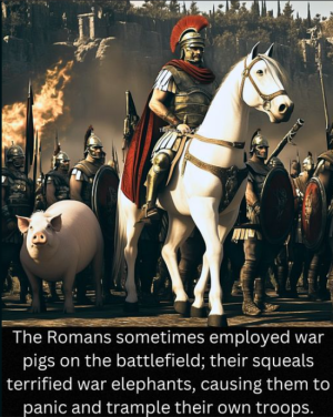 2024-08-04 22_05_53-Facebook.png