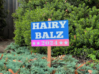 HairyB.png