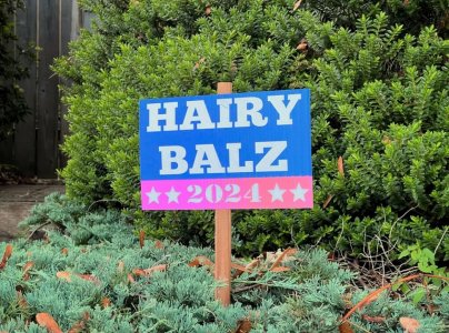 hariy balz.jpg