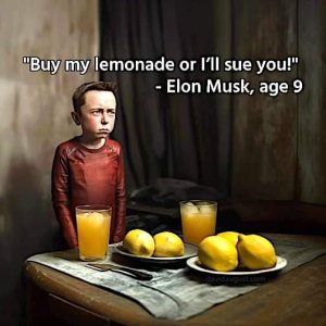 FB_IMG_1723223155643.jpg