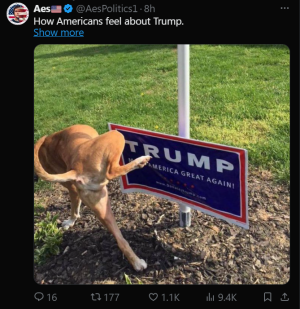 1723265375545.png
