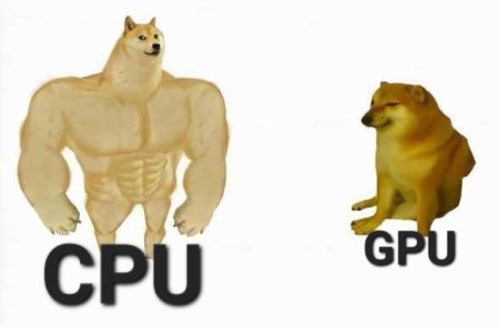 Strong-dog-vs-weak-dog-meme-430rn7.jpg