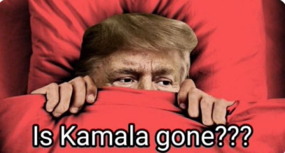 1724183646306.png