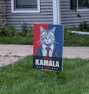 cats2.jpg