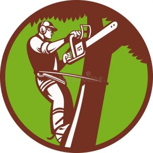 arborist-tree-surgeon.jpg