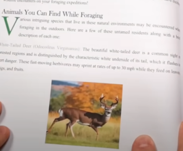 1725442612234.png 1725442612234.png