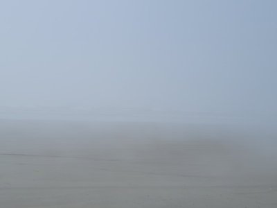 1725490444595.jpg