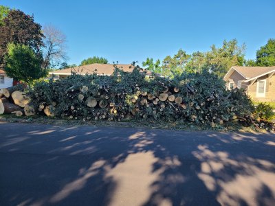 1000006145.jpg 1000006145.jpg