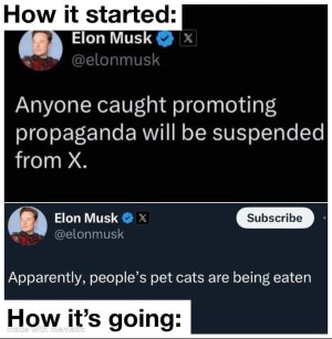 459068624_10226118319327732_1548048492656321863_n.jpg