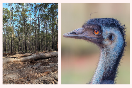 1726161815077.png 1726161815077.png