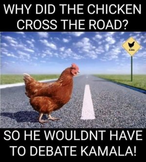 FB_IMG_1726177644939.jpg FB_IMG_1726177644939.jpg