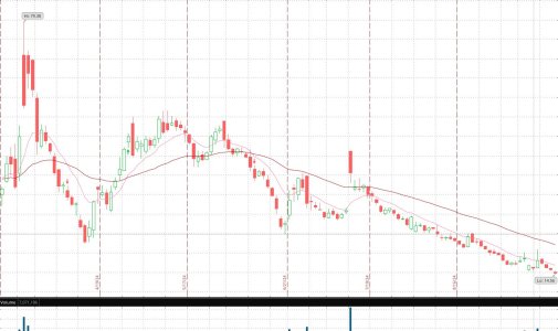 DJT falling still 9-19-24.jpg