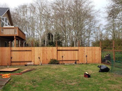 1727222445917.jpg 1727222445917.jpg