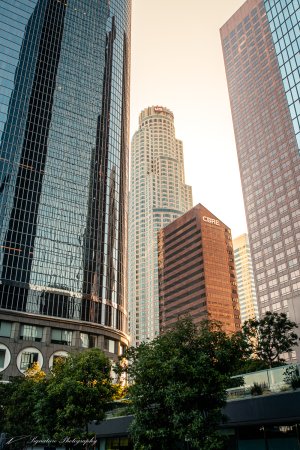 DSP-LosAngeles-1500-6361.jpg