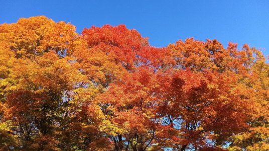 PANO_2024-10-18_09-19-02.jpg