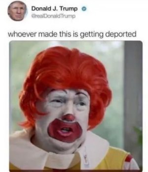 1729569992587.jpeg