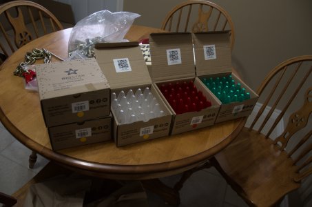 DSC_7021.jpg