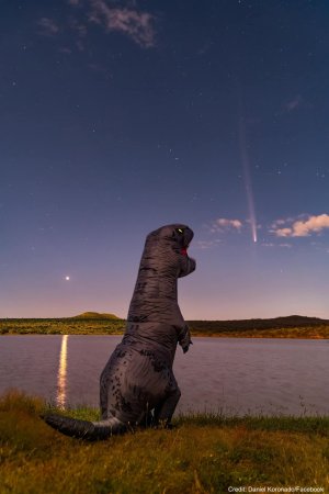 dino.jpeg