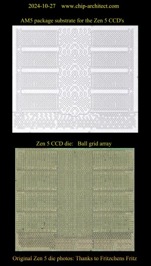 Zen 5 - AM5 substrate & CCD.jpg