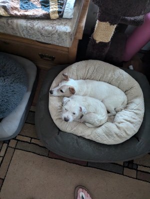 4043960089158937453.jpg (1).jpeg