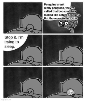 FB_IMG_1730653259406.jpg
