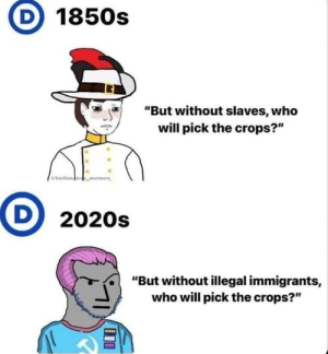 1731340232635.png
