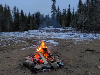 IMG_20241116_163930.jpg