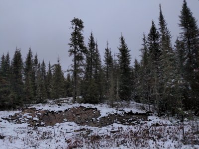 IMG_20241116_163945.jpg