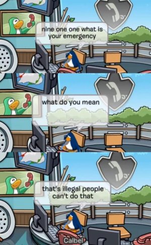 1732030462244.jpeg