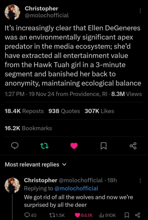 1732148819310.png