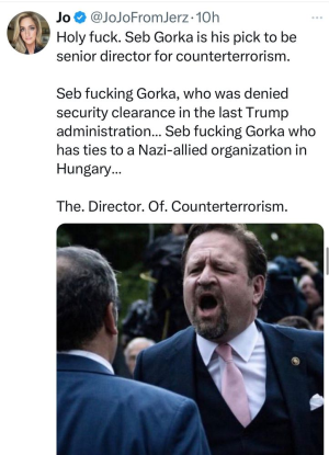 1732367411089.png